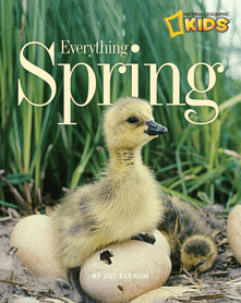 Everything Spring Book Cover