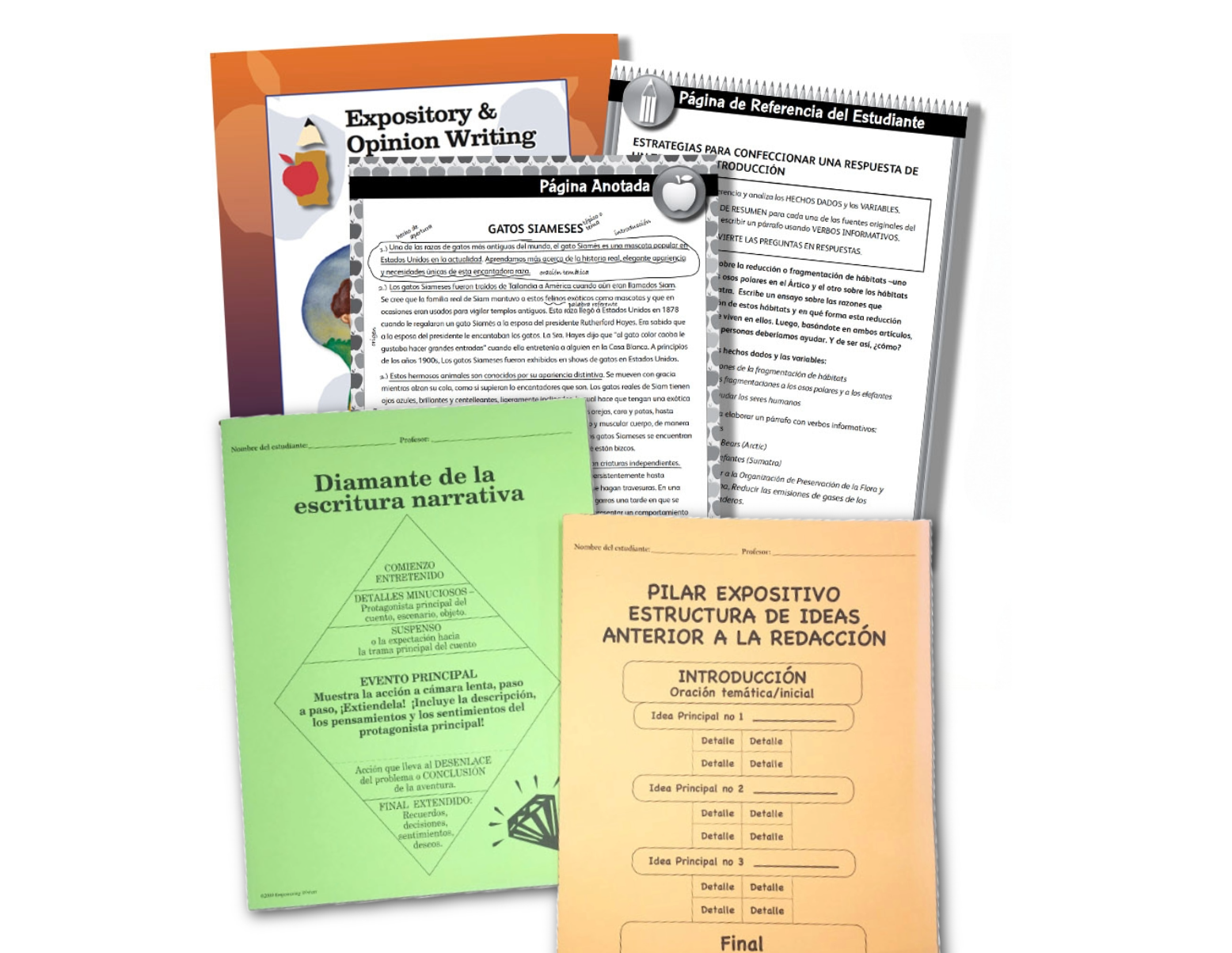 Spanish Writing Resources Image