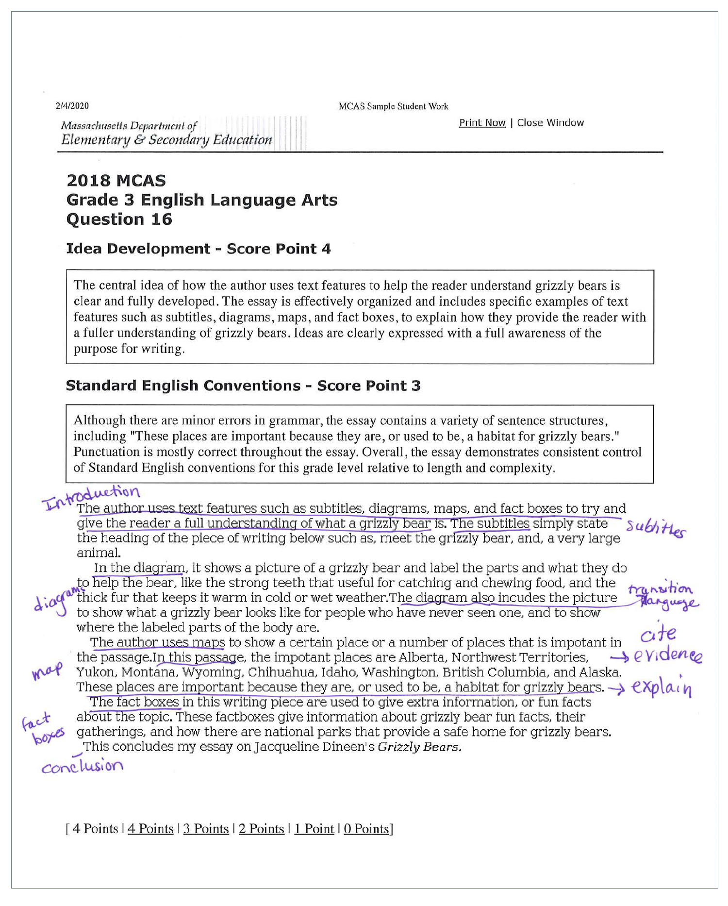 Grizzly Sample Image