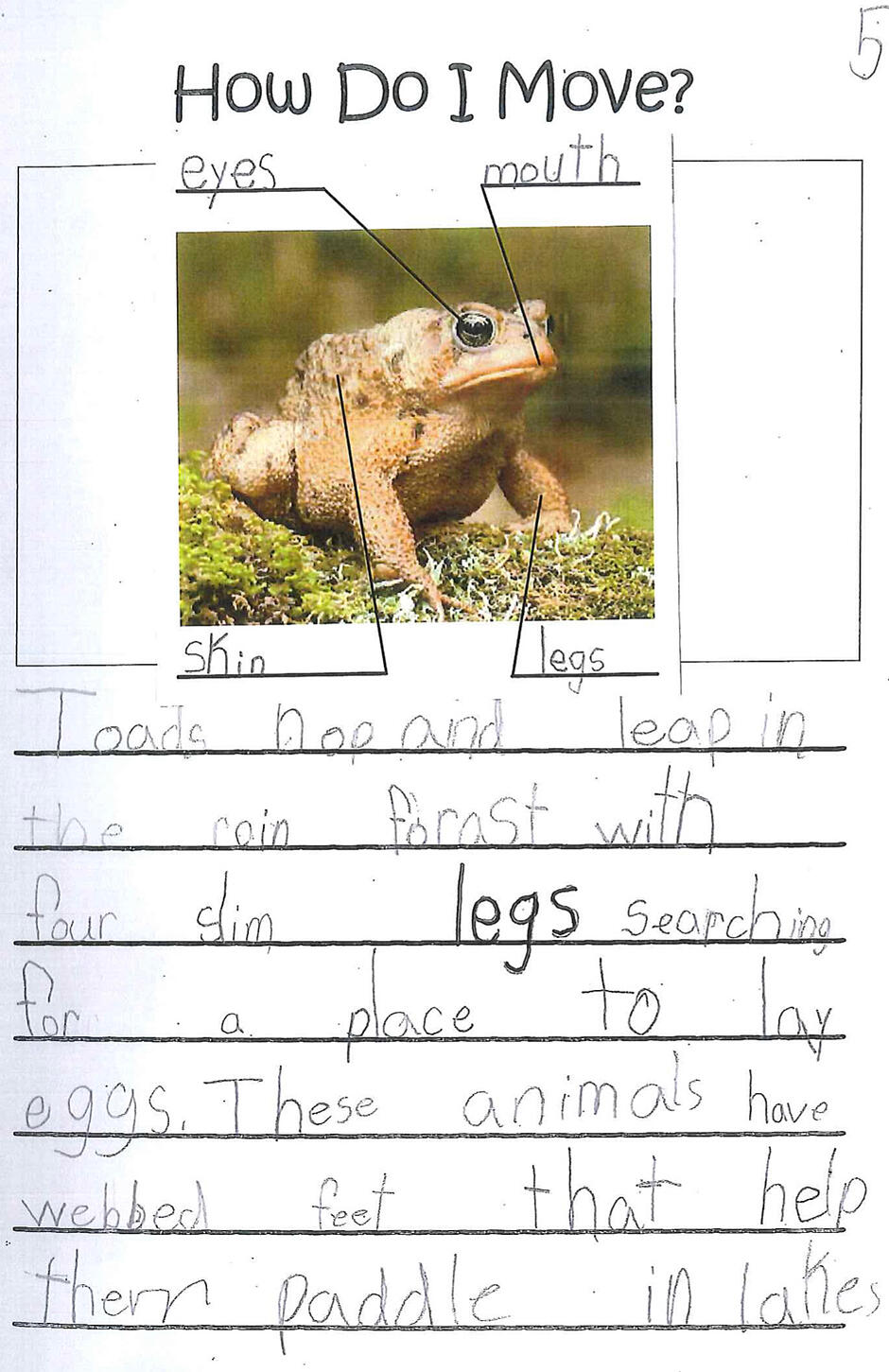 IMG_4691-2 IMG_4691-2